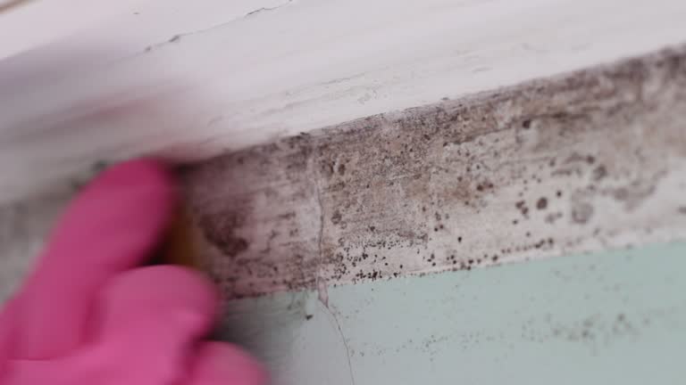 Asbestos and Lead Testing During Mold Inspection in Camp Point, IL